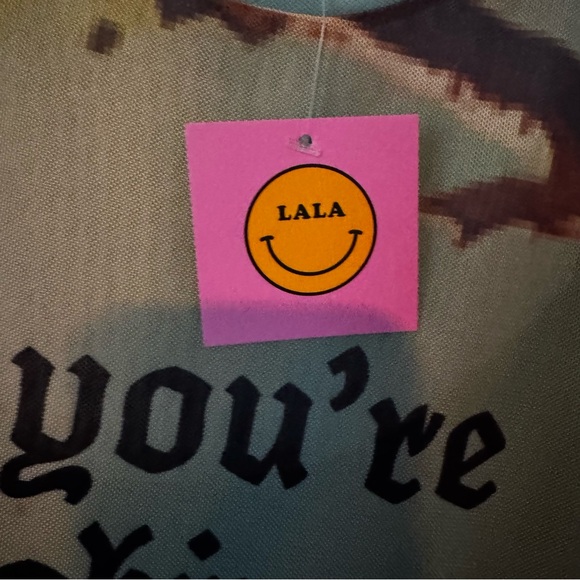 Dressed in LaLa Mad About You Mesh Dress + Slip Fairy Dust - Picture 5 of 13